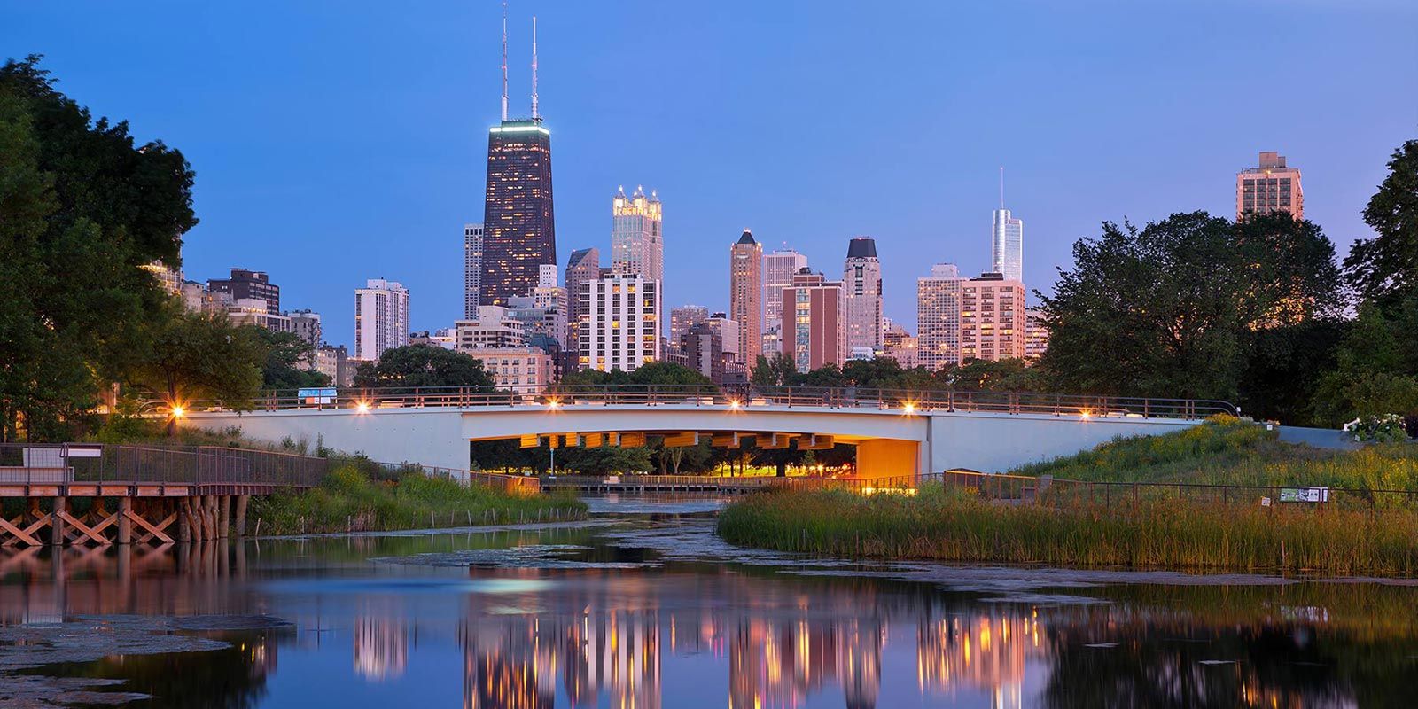 View from Lincoln Park Lagoon