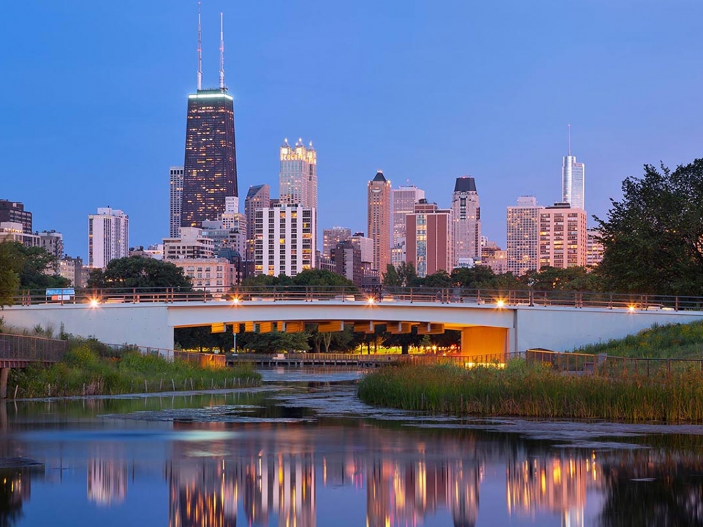 View from Lincoln Park Lagoon